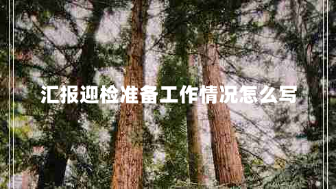 匯報(bào)迎檢準(zhǔn)備工作情況怎么寫