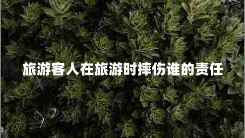 旅游客人在旅游時(shí)摔傷誰的責(zé)任 旅游客人在旅游時(shí)摔傷誰的責(zé)任