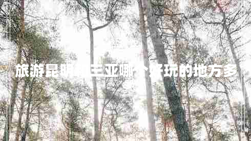 旅游昆明和三亞哪個好玩的地方多 旅游昆明和三亞哪個好玩的地方多