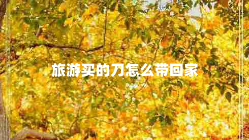 旅游買(mǎi)的刀怎么帶回家 旅游買(mǎi)的刀怎么帶回家