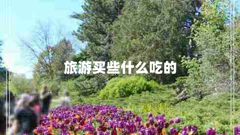 旅游買(mǎi)些什么吃的