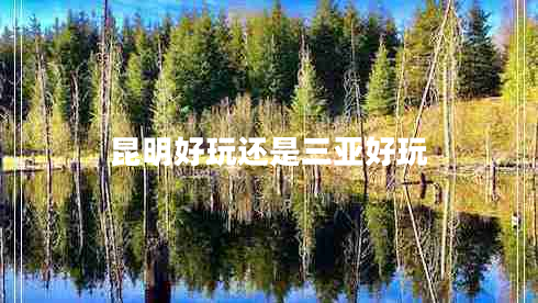 昆明好玩還是三亞好玩 昆明好玩還是三亞好玩