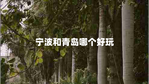 寧波和青島哪個(gè)好玩