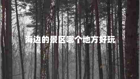 海邊的景區(qū)哪個(gè)地方好玩