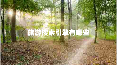 旅游搜索引擎有哪些 旅游搜索引擎有哪些