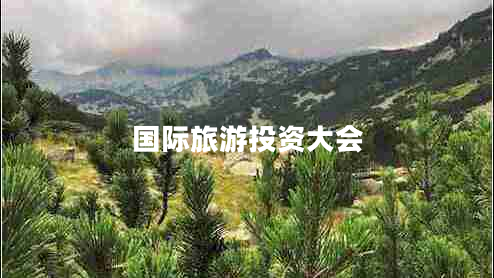 國際旅游投資大會(huì) 國際旅游投資大會(huì)