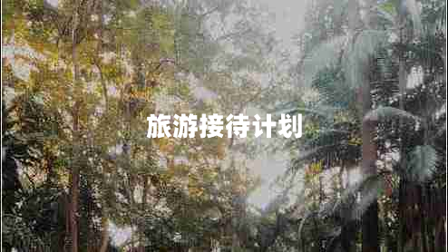 旅游接待計劃 旅游接待計劃