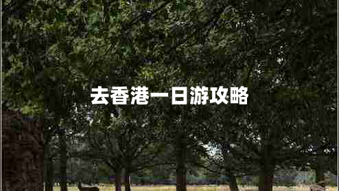 去香港一日游攻略