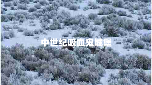 中世紀(jì)吸血鬼城堡 中世紀(jì)吸血鬼城堡