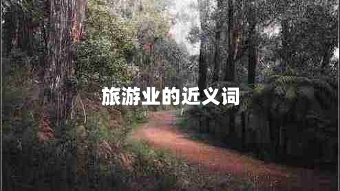 旅游業(yè)的近義詞 旅游業(yè)的近義詞