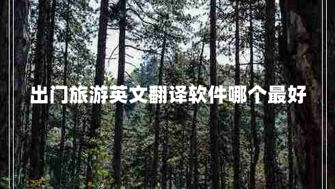 出門旅游英文翻譯軟件哪個最好