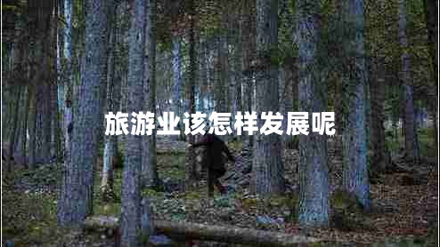 旅游業(yè)該怎樣發(fā)展呢