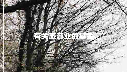 有關(guān)旅游業(yè)的基金