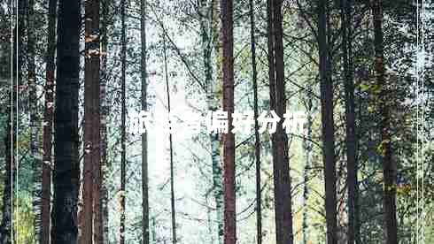 旅游者偏好分析 旅游者偏好分析