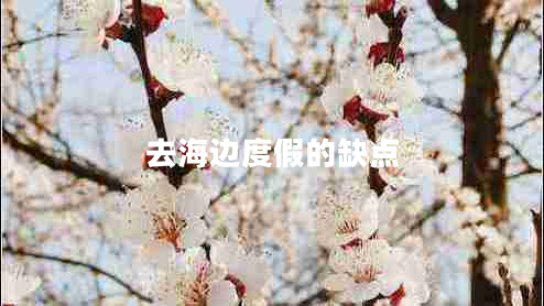 去海邊度假的缺點