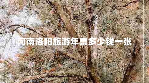 河南洛陽旅游年票多少錢一張 河南洛陽旅游年票多少錢一張