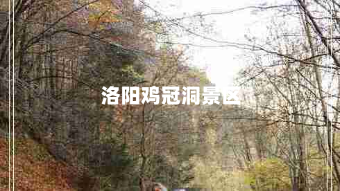 洛陽(yáng)雞冠洞景區(qū)