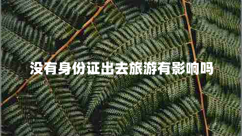 沒(méi)有身份證出去旅游有影響嗎