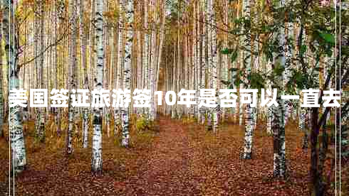 美國(guó)簽證旅游簽10年是否可以一直去