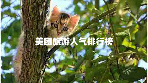 美團旅游人氣排行榜