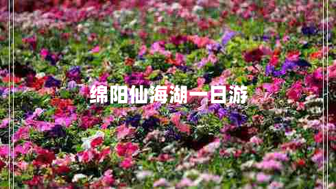 綿陽(yáng)仙海湖一日游 綿陽(yáng)仙海湖一日游