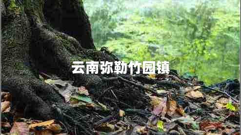 云南彌勒竹園鎮(zhèn)