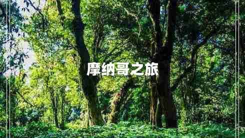 摩納哥之旅 摩納哥之旅