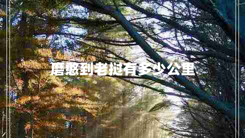 磨憨到老撾有多少公里