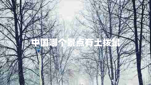 中國(guó)哪個(gè)景點(diǎn)有土撥鼠