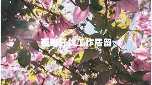 西班牙找工作居留 西班牙找工作居留