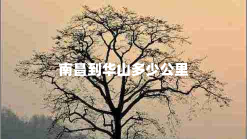 南昌到華山多少公里