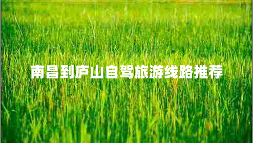 南昌到廬山自駕旅游線路推薦 南昌到廬山自駕旅游線路推薦