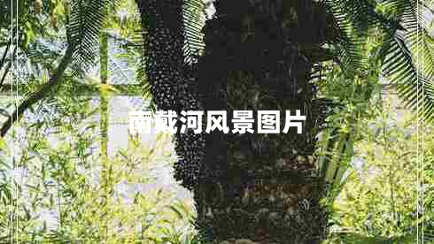 南戴河風(fēng)景圖片 南戴河風(fēng)景圖片