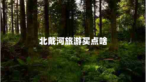 北戴河旅游買點啥 北戴河旅游買點啥