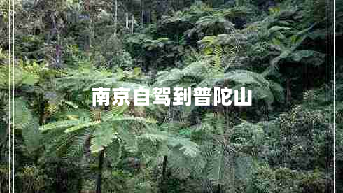 南京自駕到普陀山