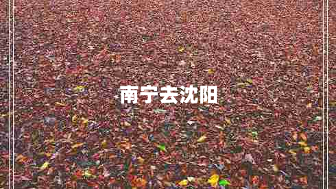 南寧去沈陽(yáng)