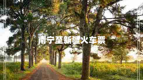 南寧至新疆火車票 南寧至新疆火車票