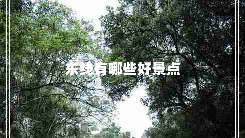 東線(xiàn)有哪些好景點(diǎn)