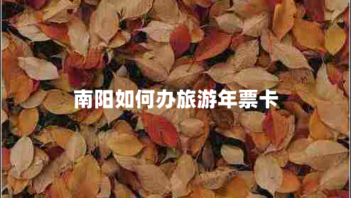 南陽如何辦旅游年票卡