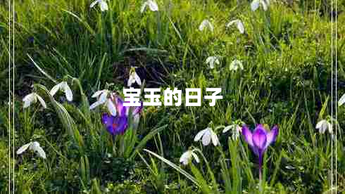 寶玉的日子 寶玉的日子