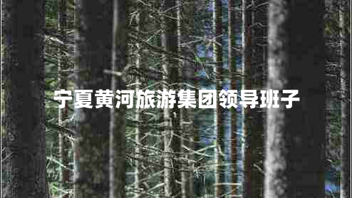 寧夏黃河旅游集團領導班子