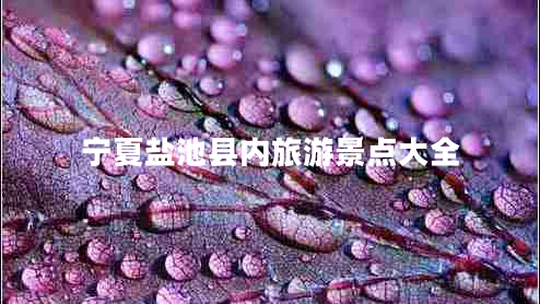 寧夏鹽池縣內(nèi)旅游景點(diǎn)大全 寧夏鹽池縣內(nèi)旅游景點(diǎn)大全