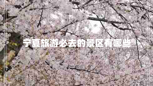 寧夏旅游必去的景區(qū)有哪些