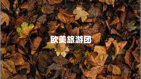 歐美旅游團