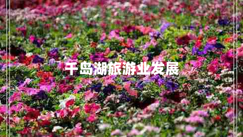 千島湖旅游業(yè)發(fā)展