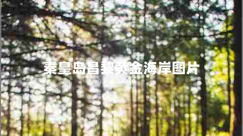 秦皇島昌黎黃金海岸圖片 秦皇島昌黎黃金海岸圖片