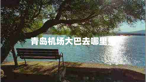 青島機(jī)場(chǎng)大巴去哪里坐 青島機(jī)場(chǎng)大巴去哪里坐