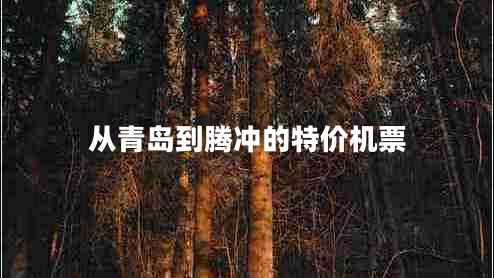 從青島到騰沖的特價(jià)機(jī)票