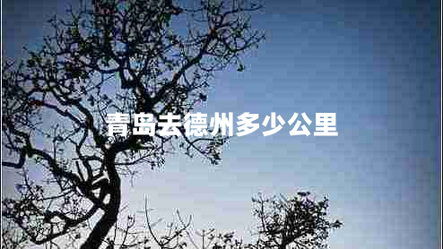 青島去德州多少公里