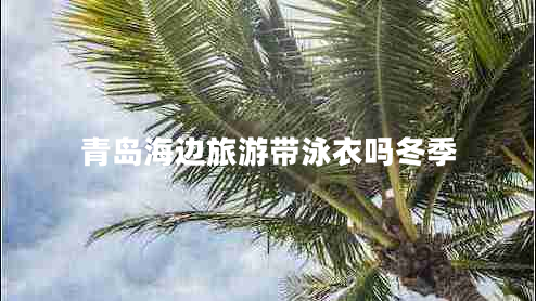 青島海邊旅游帶泳衣嗎冬季 青島海邊旅游帶泳衣嗎冬季